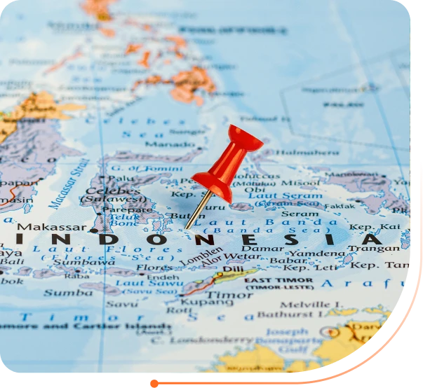 global erp implementation in Indonesia